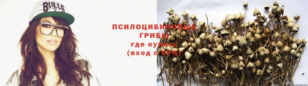 дживик Медвежьегорск