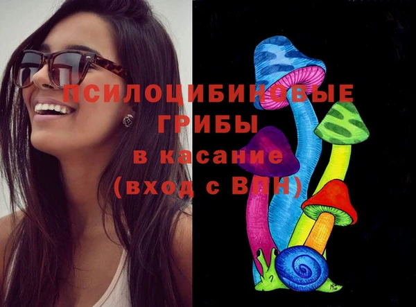 дживик Медвежьегорск