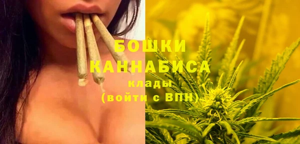 дживик Медвежьегорск