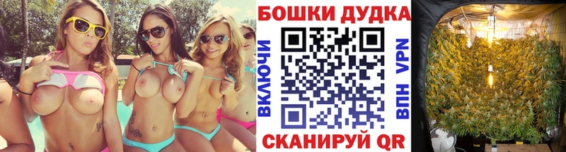 Купить  Краснодар  МАРИХУАНА сатива 